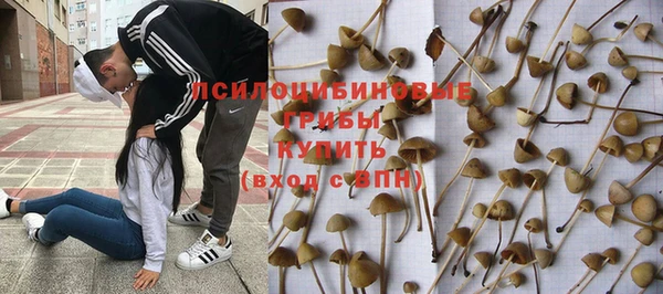 меф Армянск