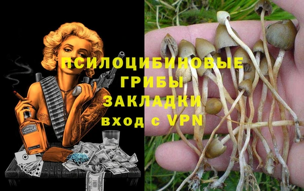 ALPHA PVP Аркадак