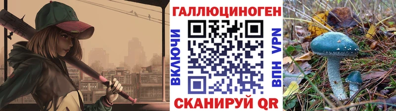 Псилоцибиновые грибы Psilocybe Спас-Клепики