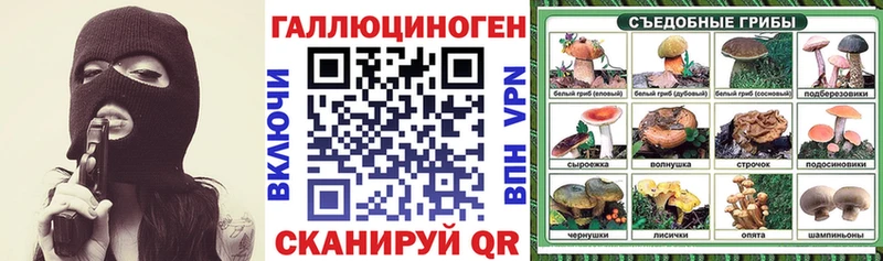 Галлюциногенные грибы GOLDEN TEACHER  даркнет формула  Спас-Клепики  mega  